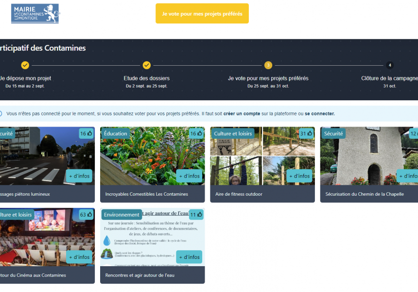 Capture d’écran plateforme Budget Participatif Contamines (plateforme créée par WebValley)