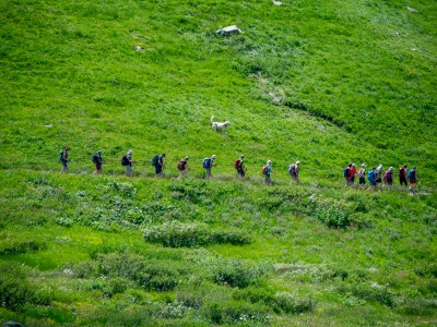 Découverte des alpages 11 juillet - Photo Les Contamines Tourisme (37)