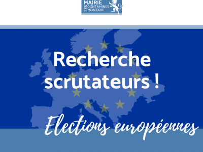 facebook recherche scrutateurs - elections européennes